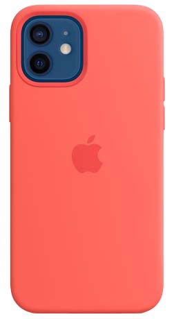 Apple iPhone 12 Pro Max Case